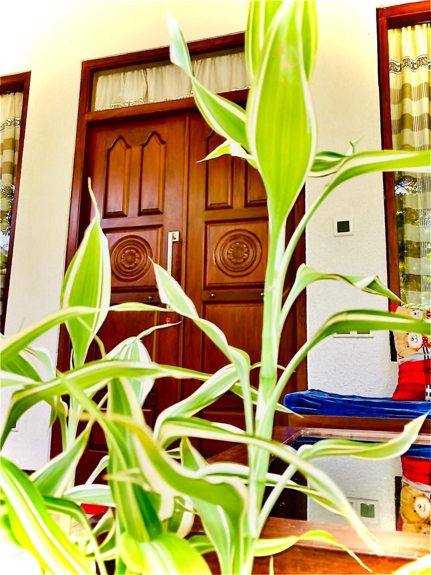 Mountain Seaview Cabanas แทนกาลเล ภายนอก รูปภาพ