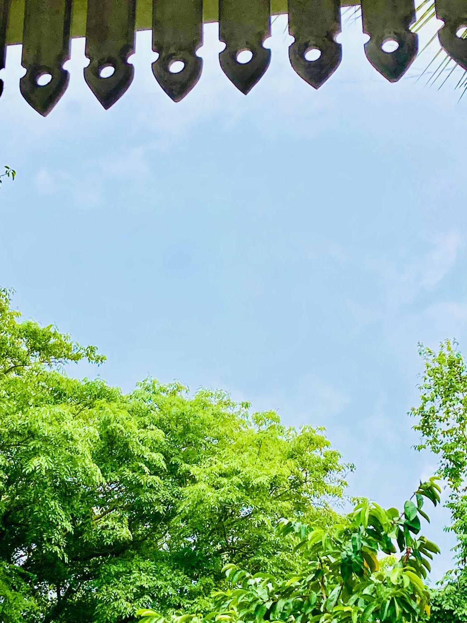 Mountain Seaview Cabanas แทนกาลเล ภายนอก รูปภาพ