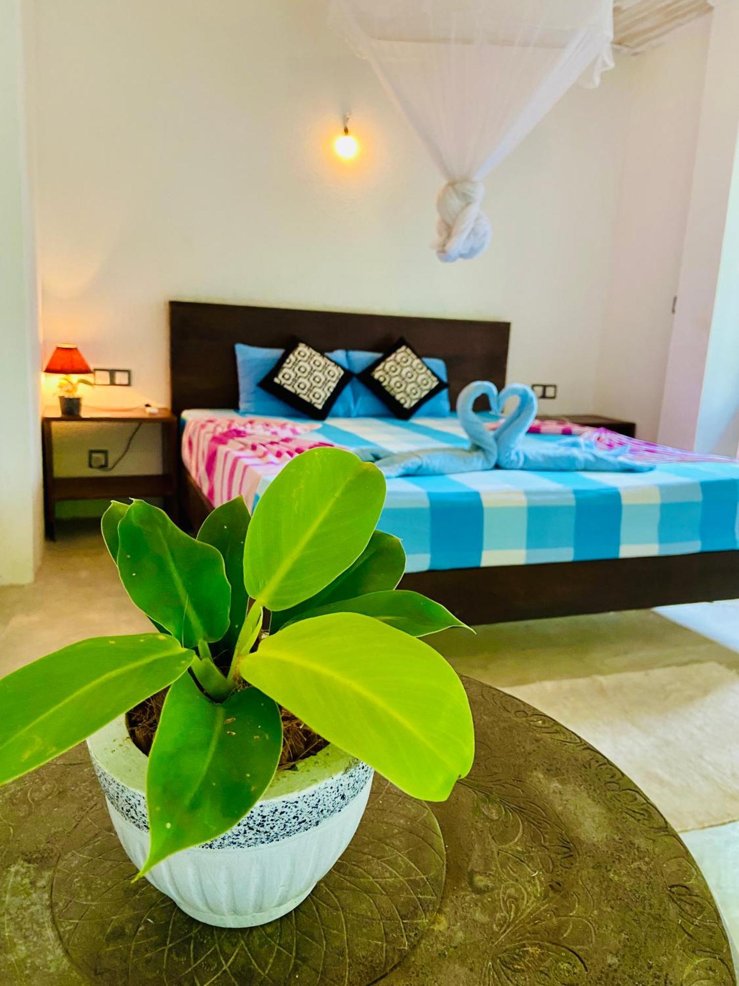 Mountain Seaview Cabanas แทนกาลเล ภายนอก รูปภาพ